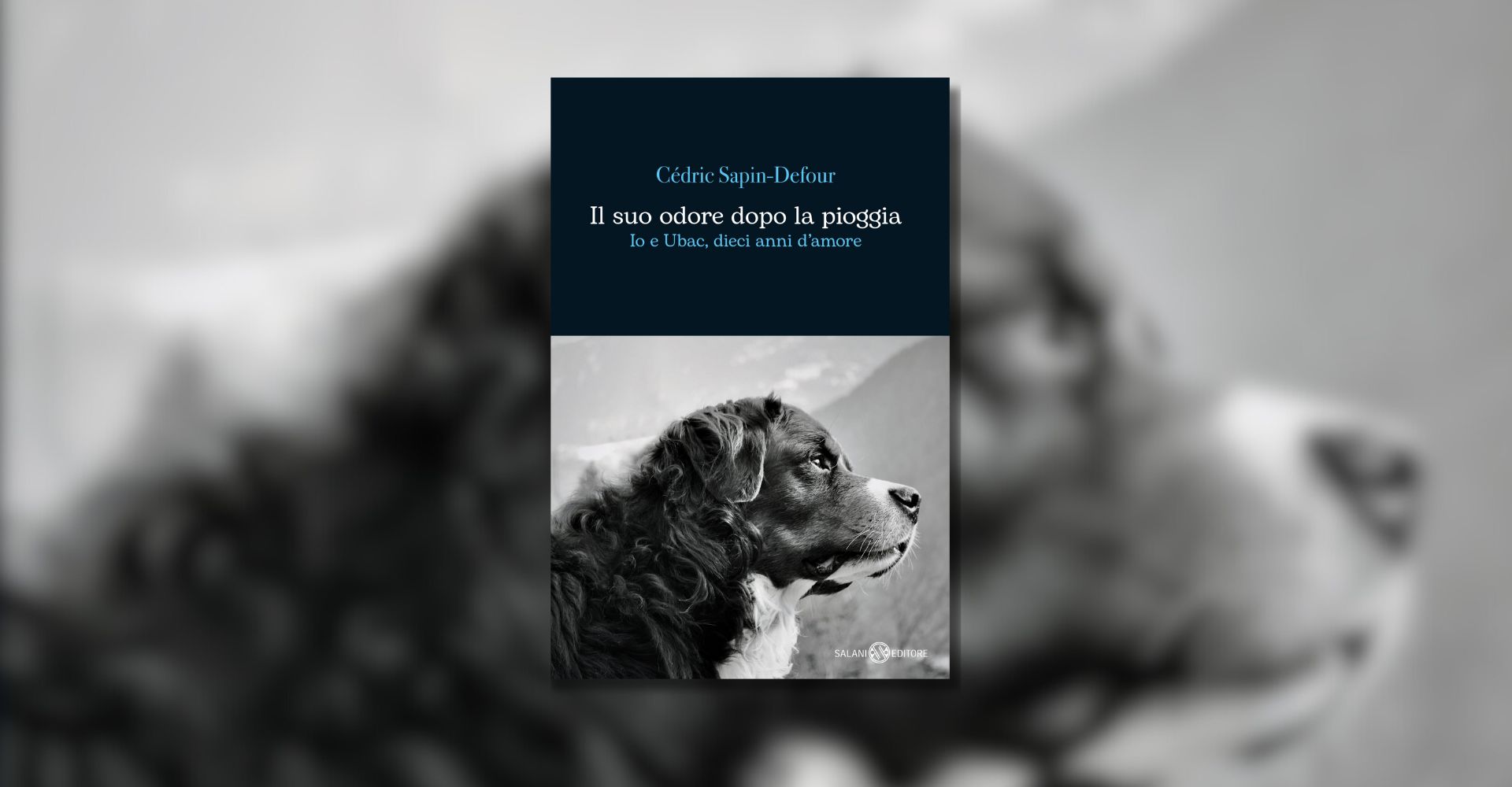 "Il suo odore dopo la pioggia": il legame unico tra cane e uomo nel romanzo di Cédric Sapin-Defour