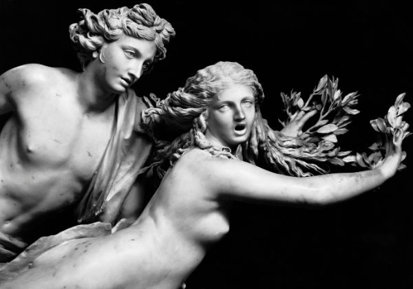 Un dettaglio della statua di Gian Lorenzo Bernini Apollo e Dafne collezione Bettman via GettyImages
