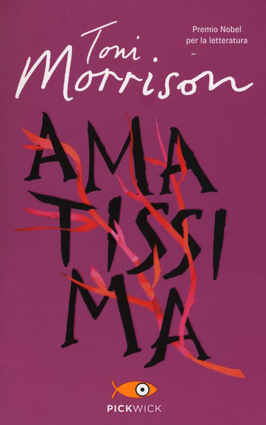 amatissima di toni morrison, romanzo scritto da una donna vincitrico del nobel