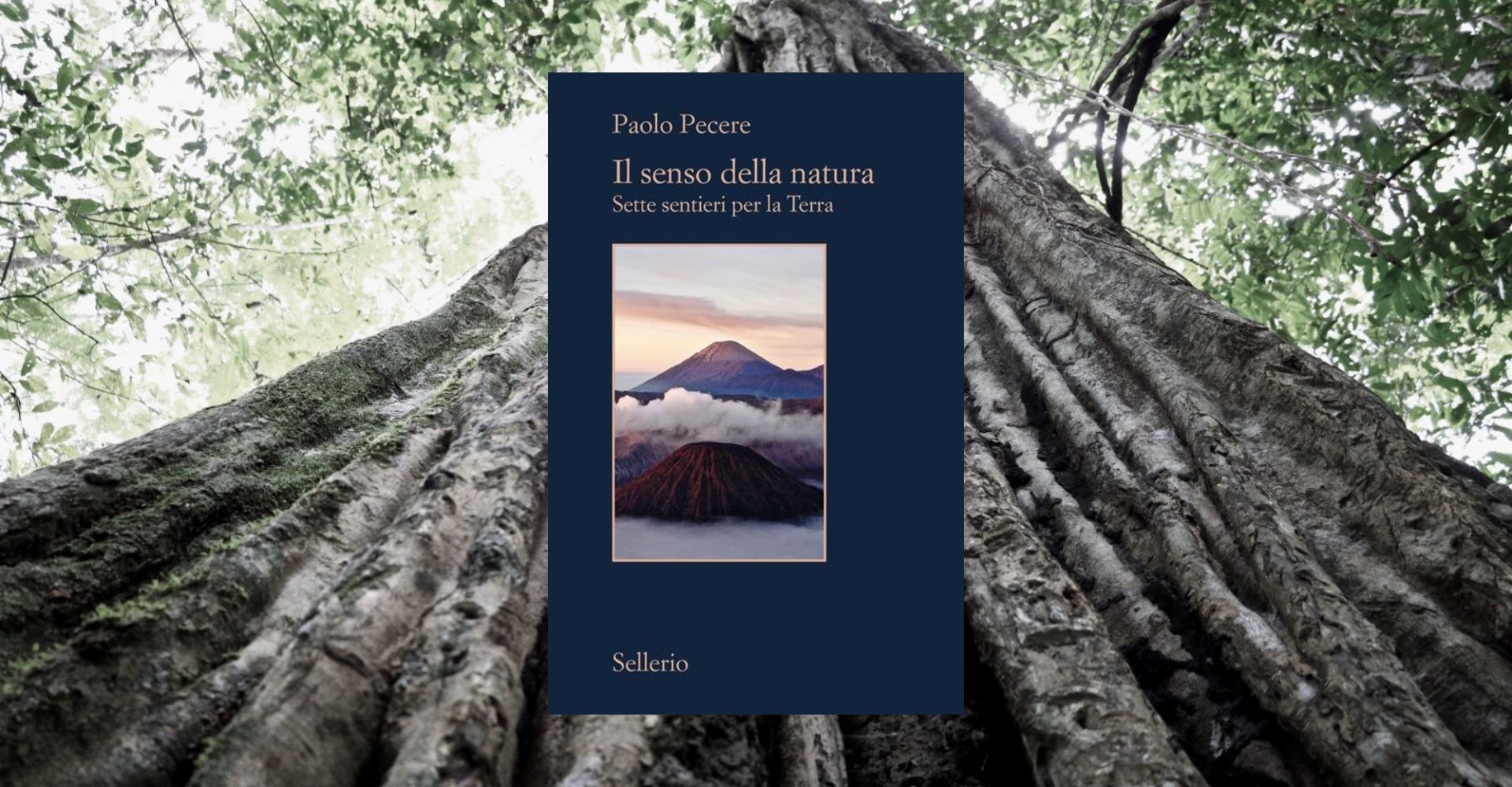 Il senso della natura (Sellerio) è il nuovo saggio di Paolo Pecere