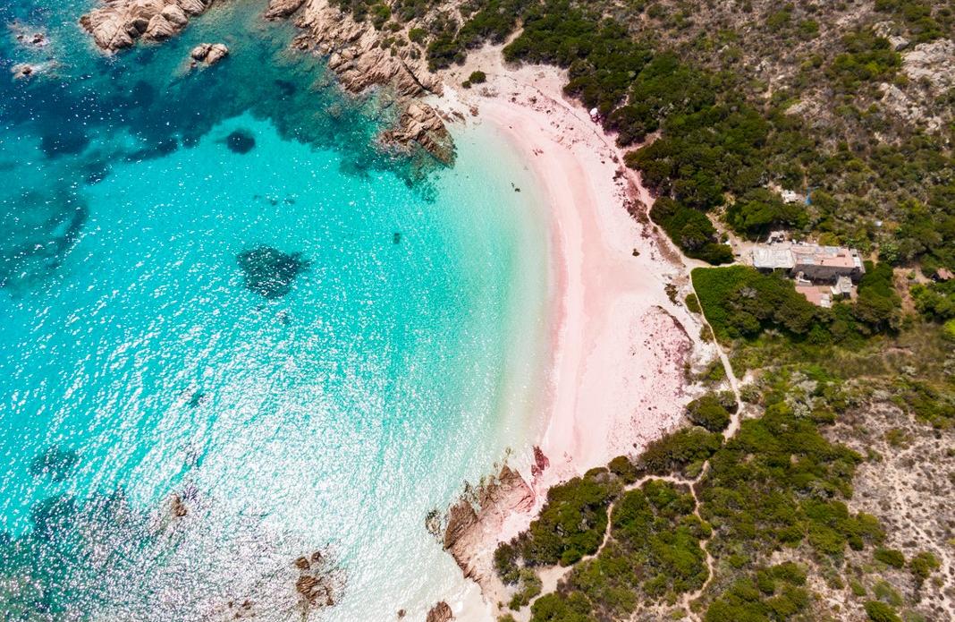 Premio Costa Smeralda 2024: omaggio a Alicia Giménez-Bartlett. Ecco le terne dei libri finalisti e le novità