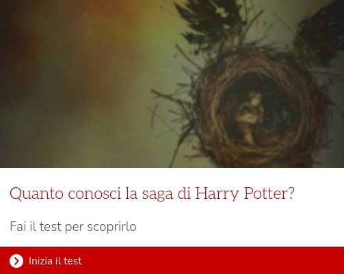 harry potter test