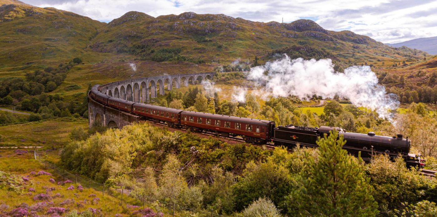test harry potter