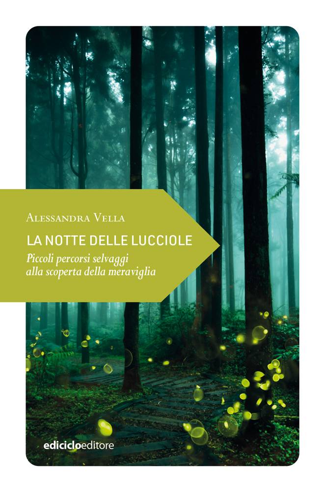 La notte delle lucciole, libri da leggere estate 2024
