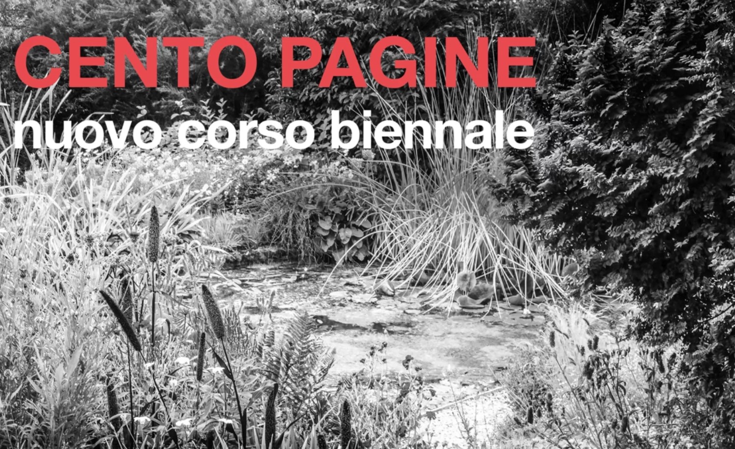 cento pagine belleville