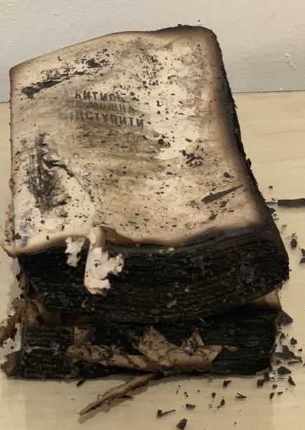 libri bruciati