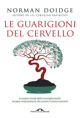 Le guarigioni del cervello libri da leggere estate 2024