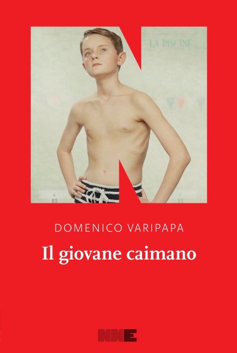 domenico varipapa il giovane caimano libri da leggere estate 2024