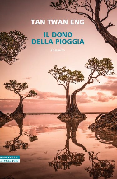 il dono della pioggia libri da leggere 2024