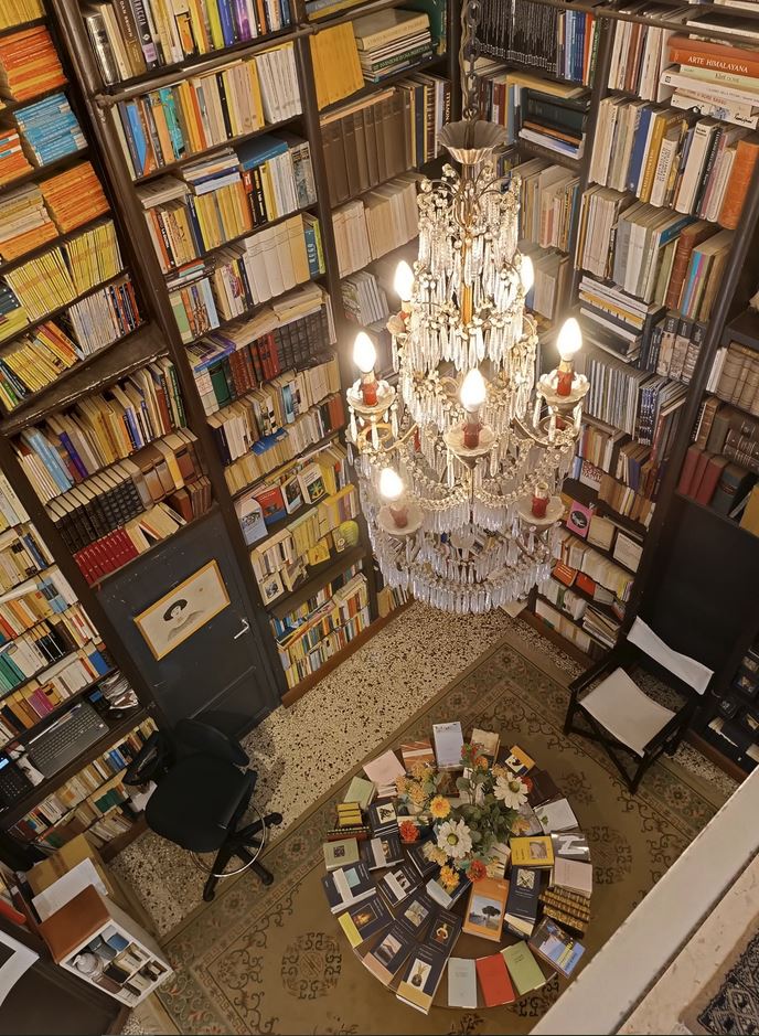 libreria la stanza di carta foto