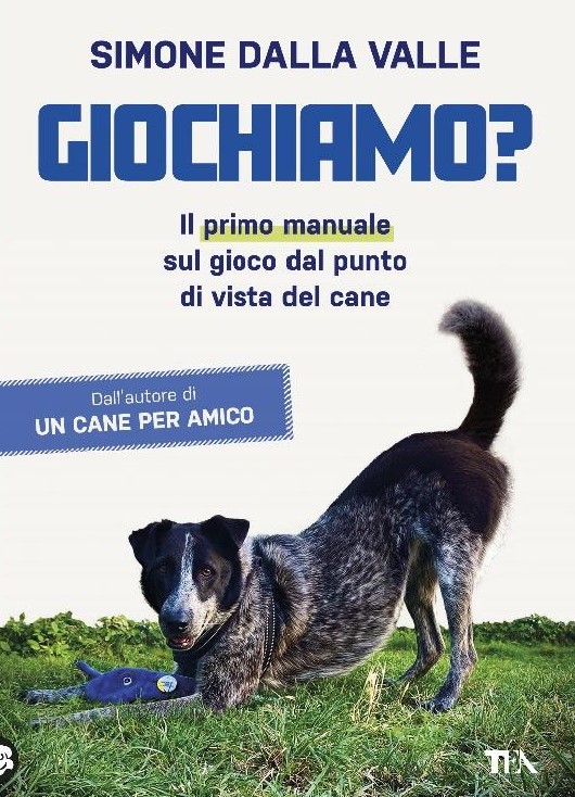 simone della valle giochiamo libri da leggere 2024