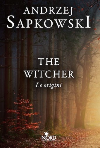 the witcher le origini