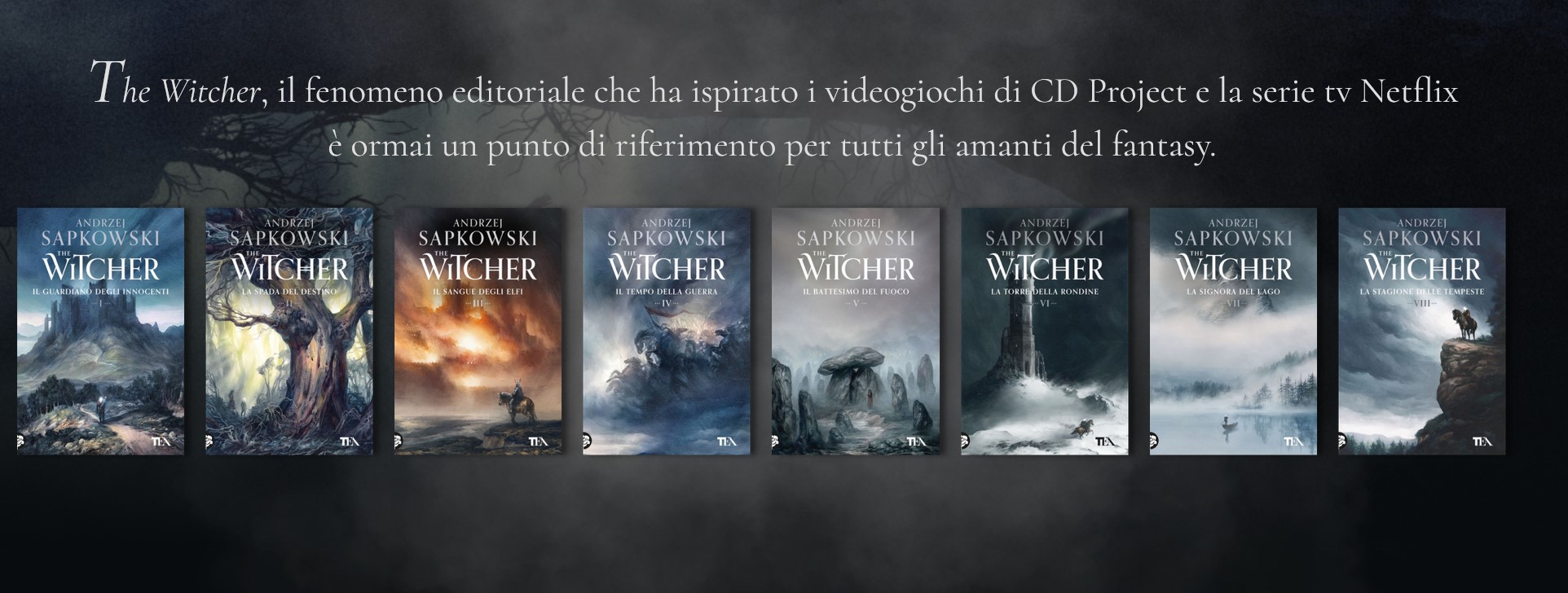 the witcher