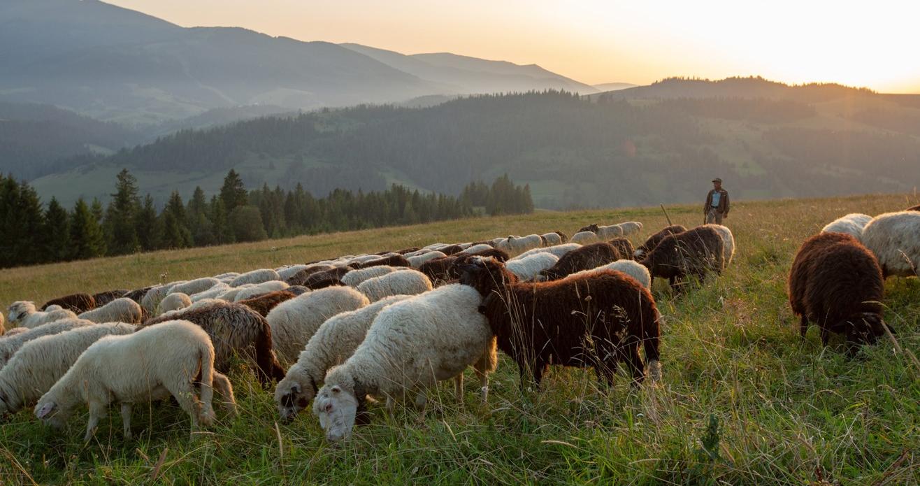 “Anima”: la suggestiva pastorale selvaggia di Kapka Kassabova