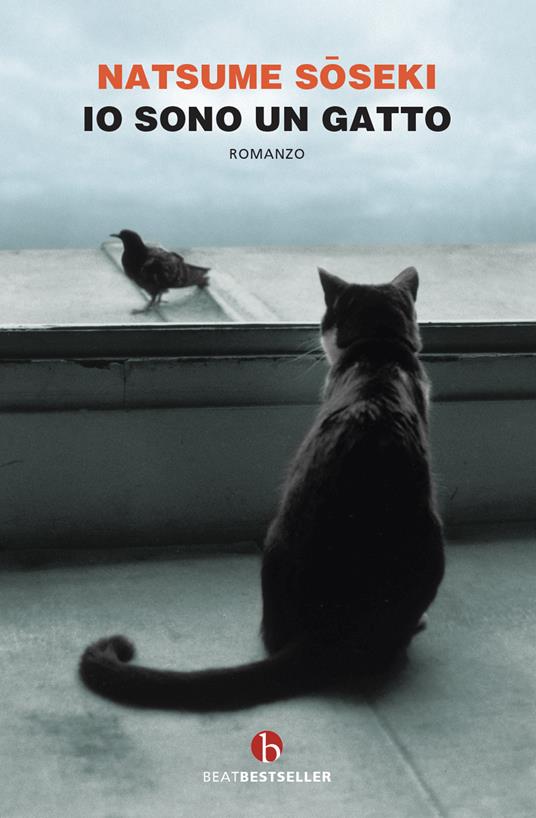 Io sono un gatto di Natsume Soseki libri giapponesi