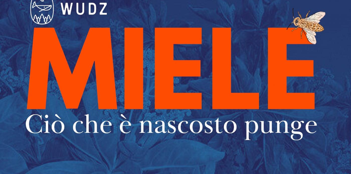 miele wudz