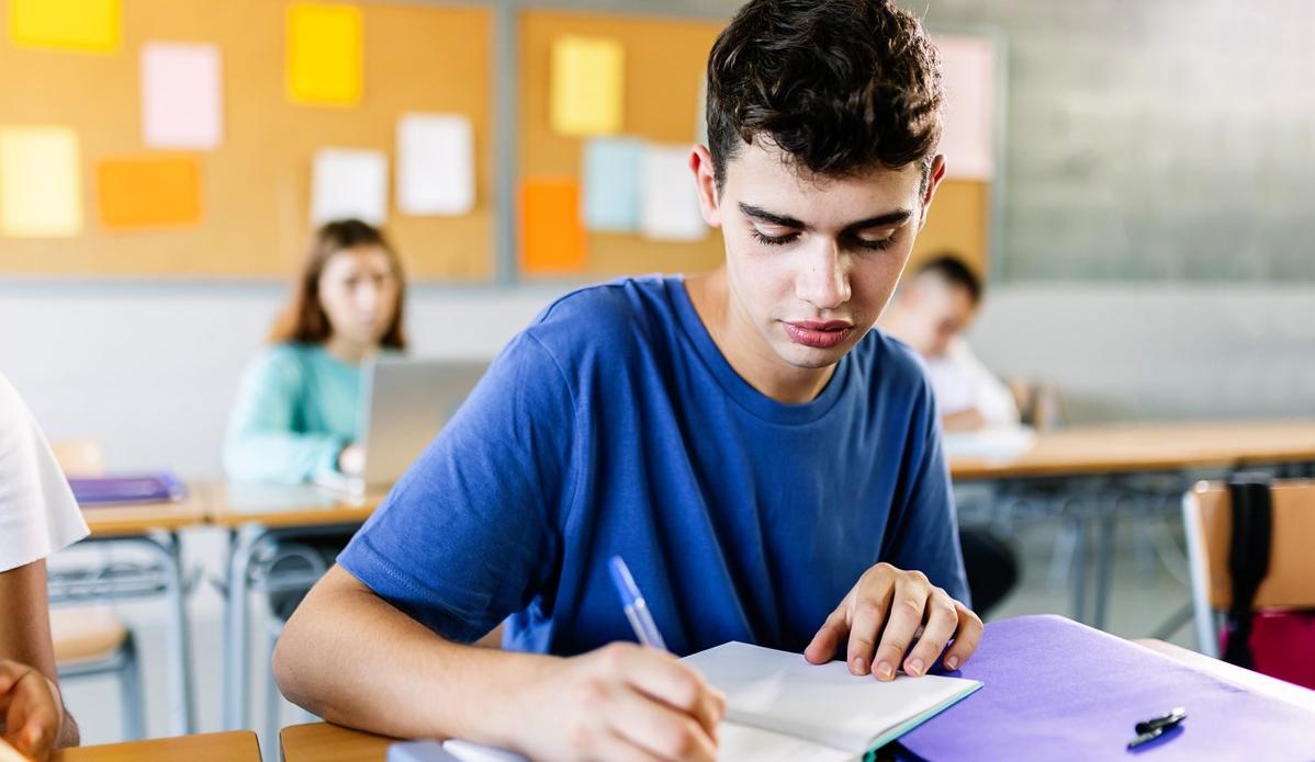 saggi da leggere in classe