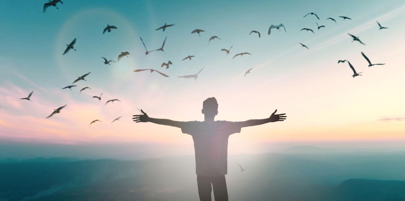 uccelli, ragazzo uccelli, volatili, libertà, natura