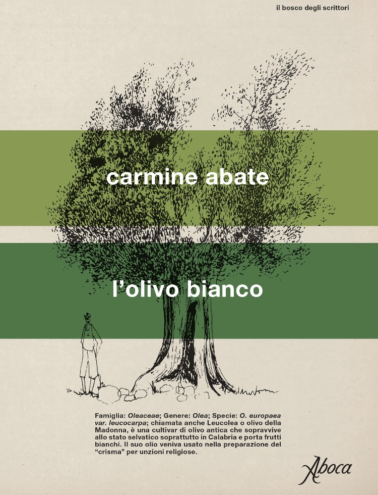Copertina di "L'olivo bianco" di Carmine Abate 