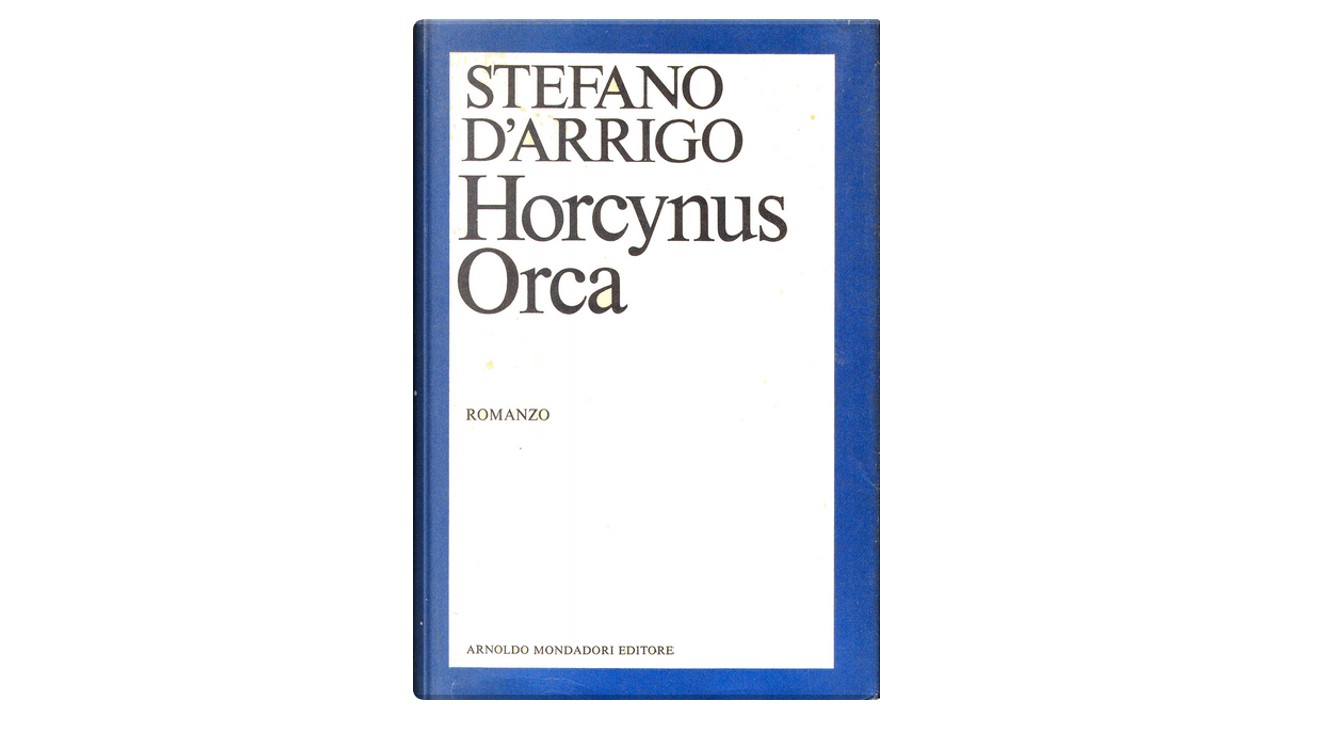 stefano d'arrigo