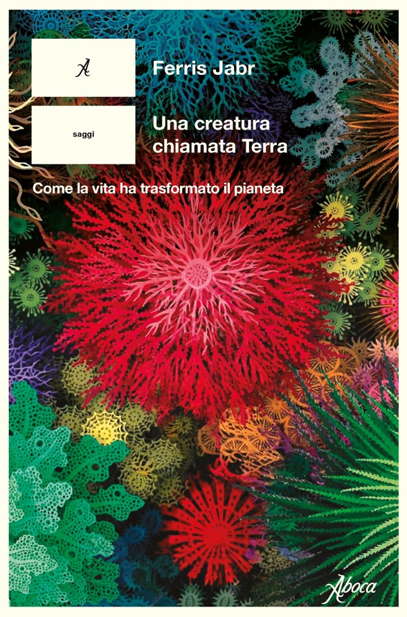 Copertina di "Una creatura chiamata terra", tra i libri da leggere 2025