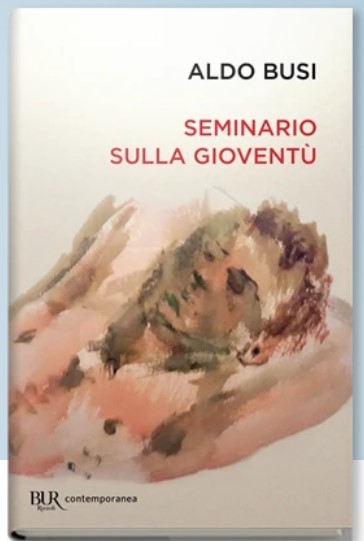 seminario sulla gioventù aldo busi
