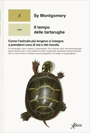 Libri ultime uscite aprile 2025 Il tempo delle tartarughe