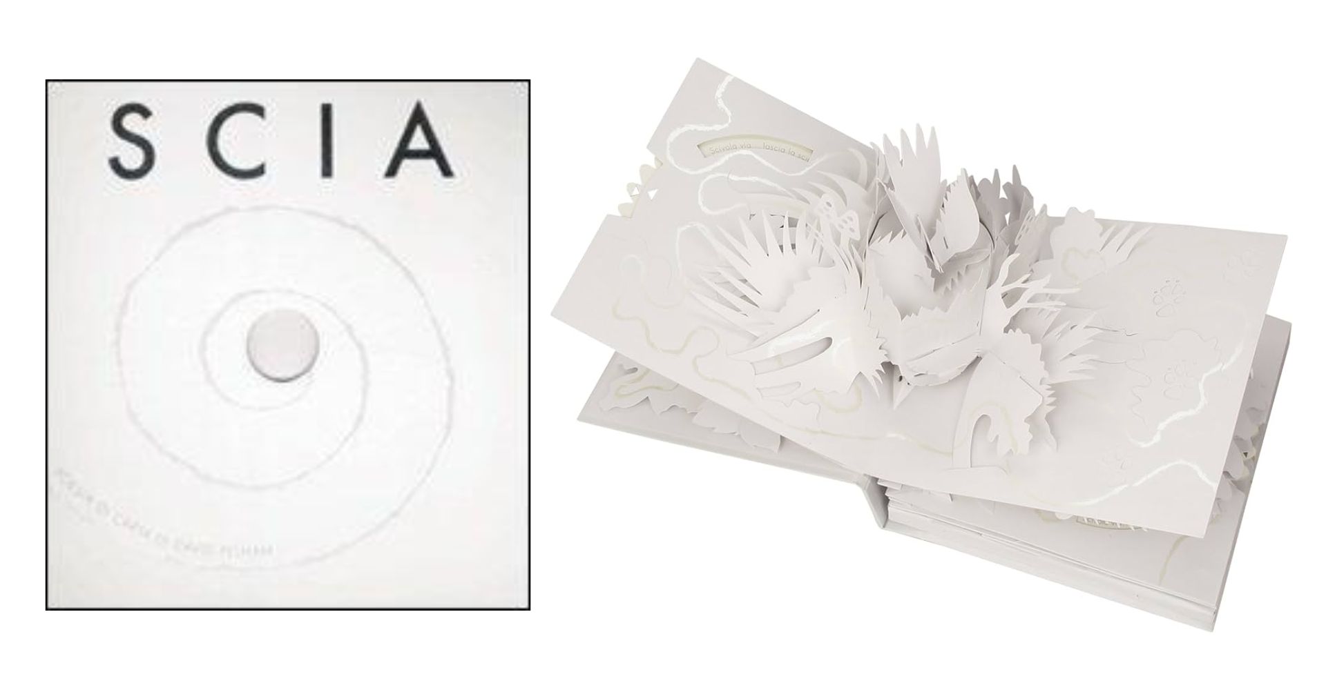 Scia di David Pelham è uno dei libri pop-up da collezione 