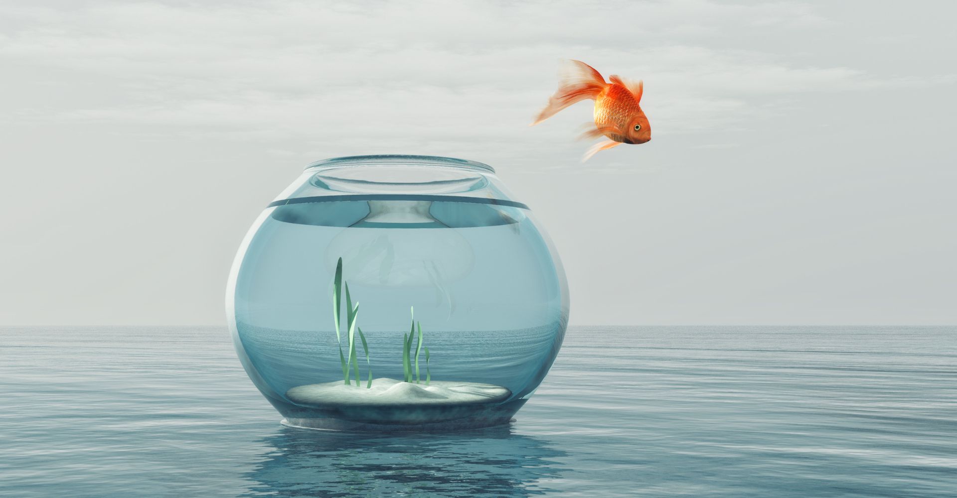 Un pesce rosso nell'atto di saltare fuori da una boccia e si tuffa nel mare, che rappresenta metaforicamente l'idea di uscire dalla propria comfort zone
