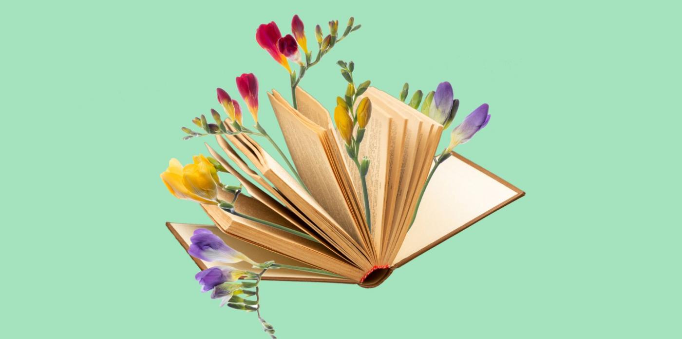 libri che parlano di libri