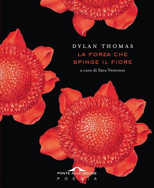 La forza che spinge il fiore libri da leggere estate 2025