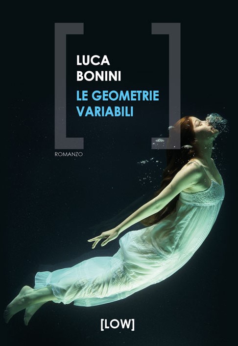 Le geometrie variabili di Luca Bonini