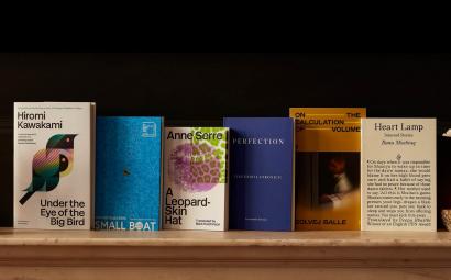 The International Booker Prize 2025: vince Banu Mushtaq