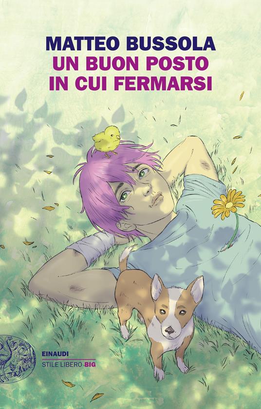Un posto in cui fermarsi di Matteo Bussola