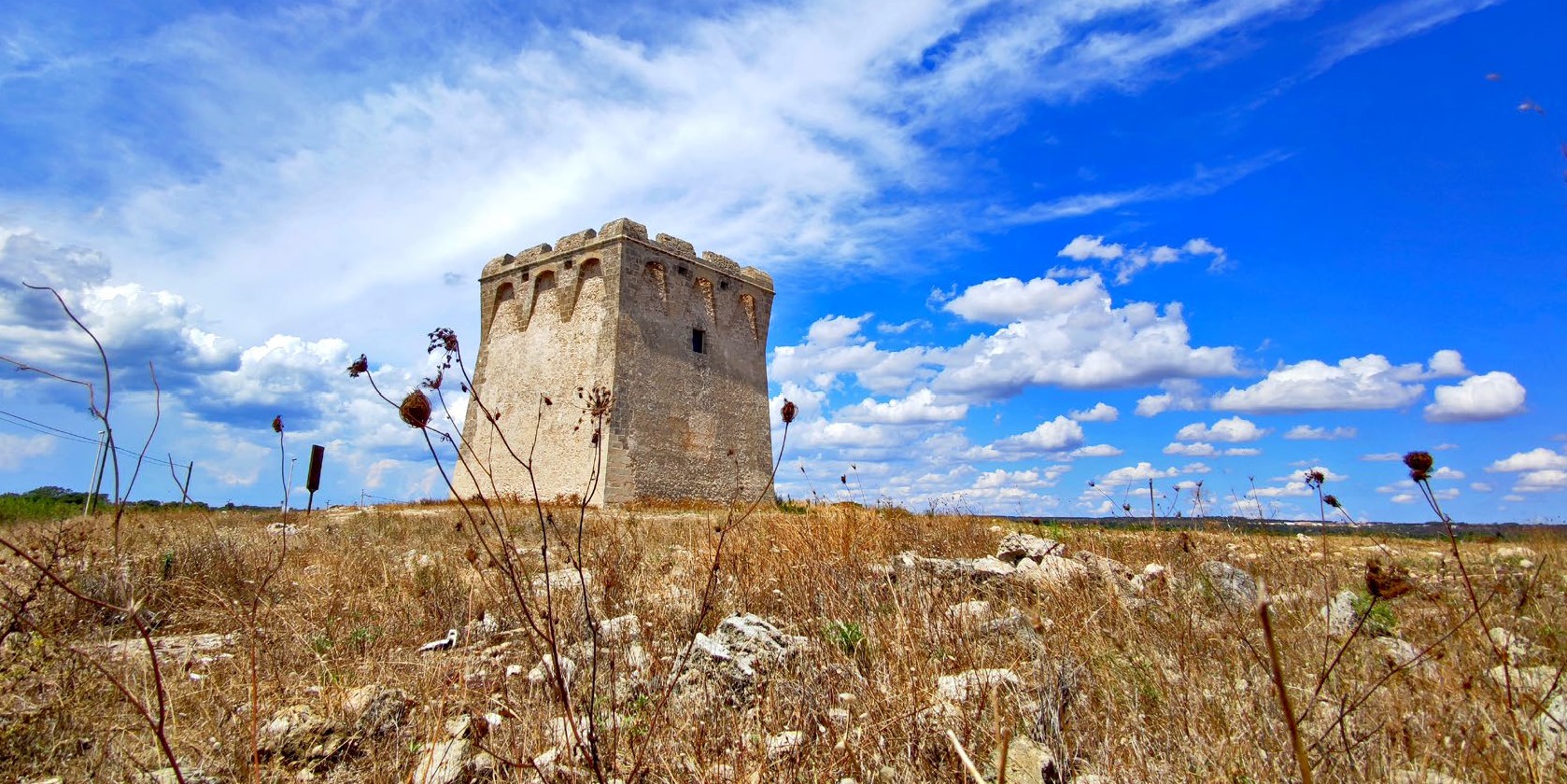 Troppo Sud, foto di Omar Di Monopoli