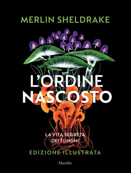 copertina del libro ordine nascosto
