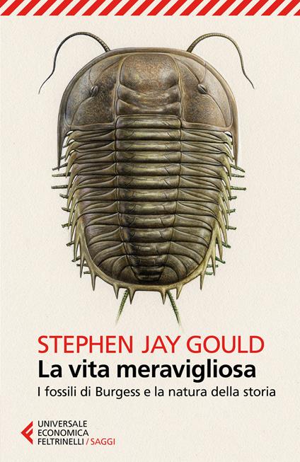 la vita meravigliosa è un libro di divulgazione di stephen jay gould