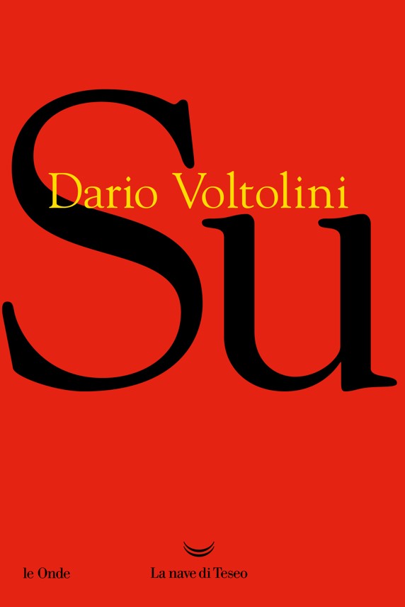 Dario Voltolini Su