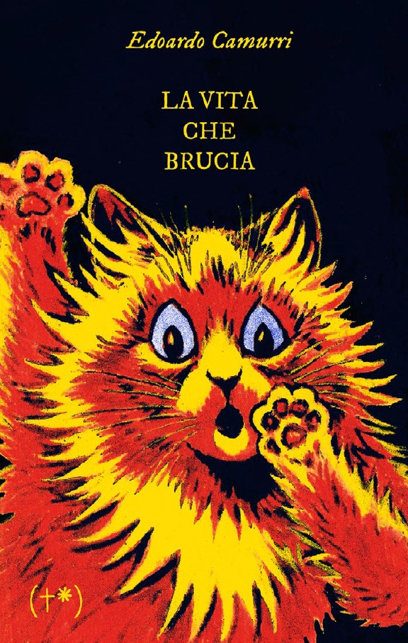 Copertina di "La vita che brucia" di Edoardo Camurri, tra i libri ultime uscite settembre 2025