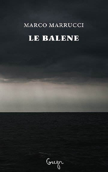 Le balene di Marco Marrucci in uscita per il nuovo marchio Gregor