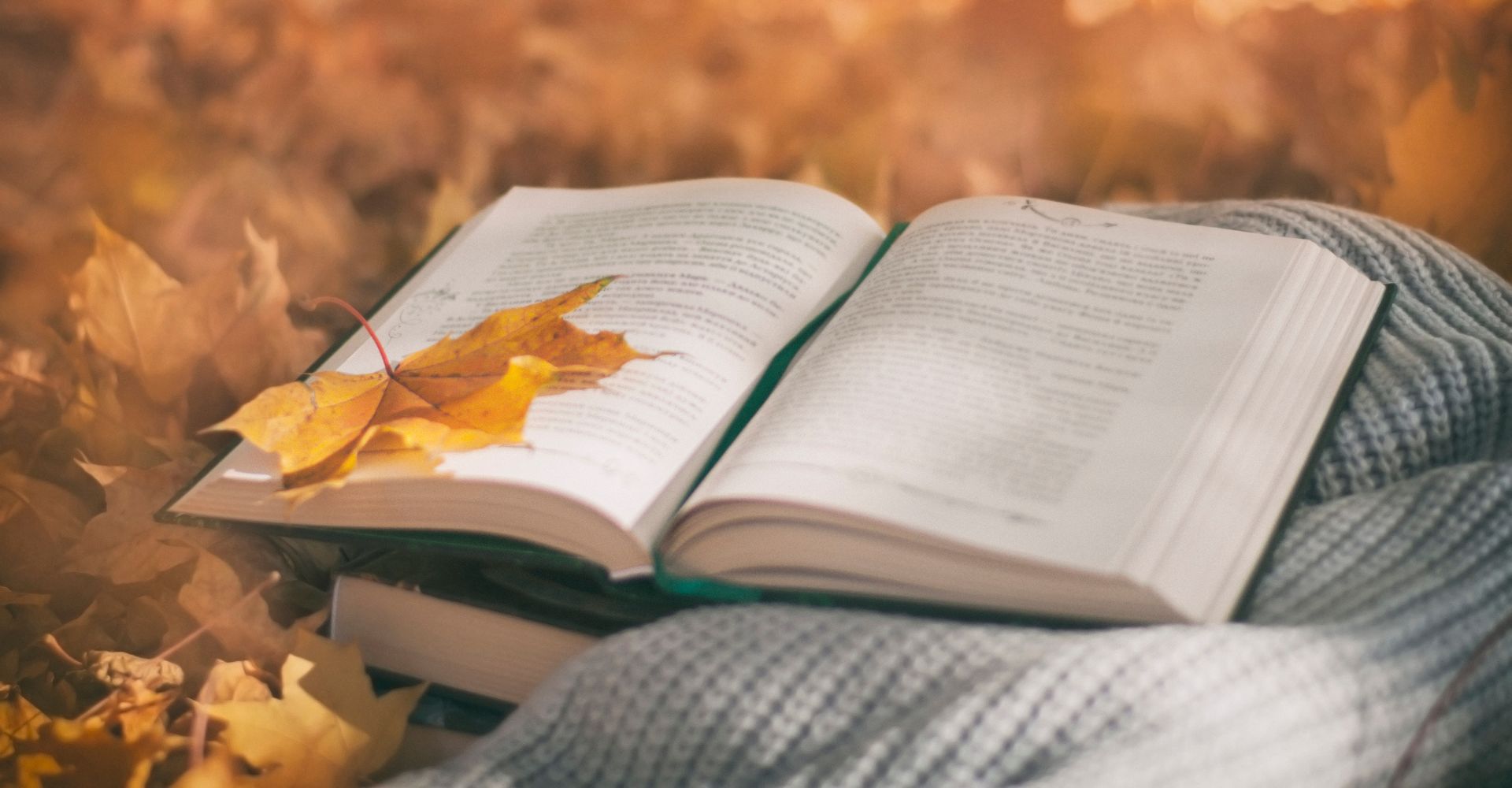 Frasi sull'autunno, alcune fra le più belle della letteratura