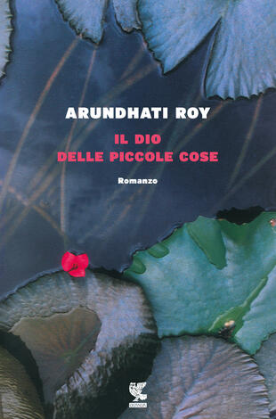 Il dio delle piccole cose