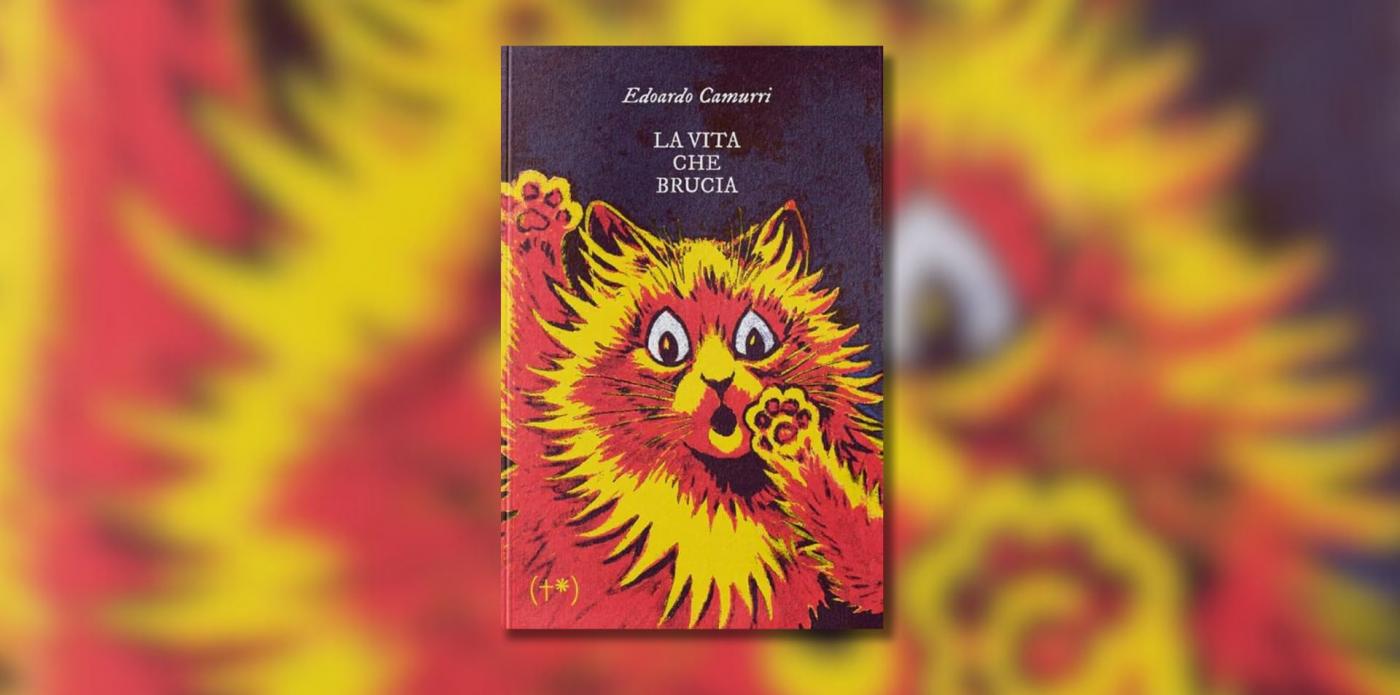 La vita che brucia di Edoardo Camurri