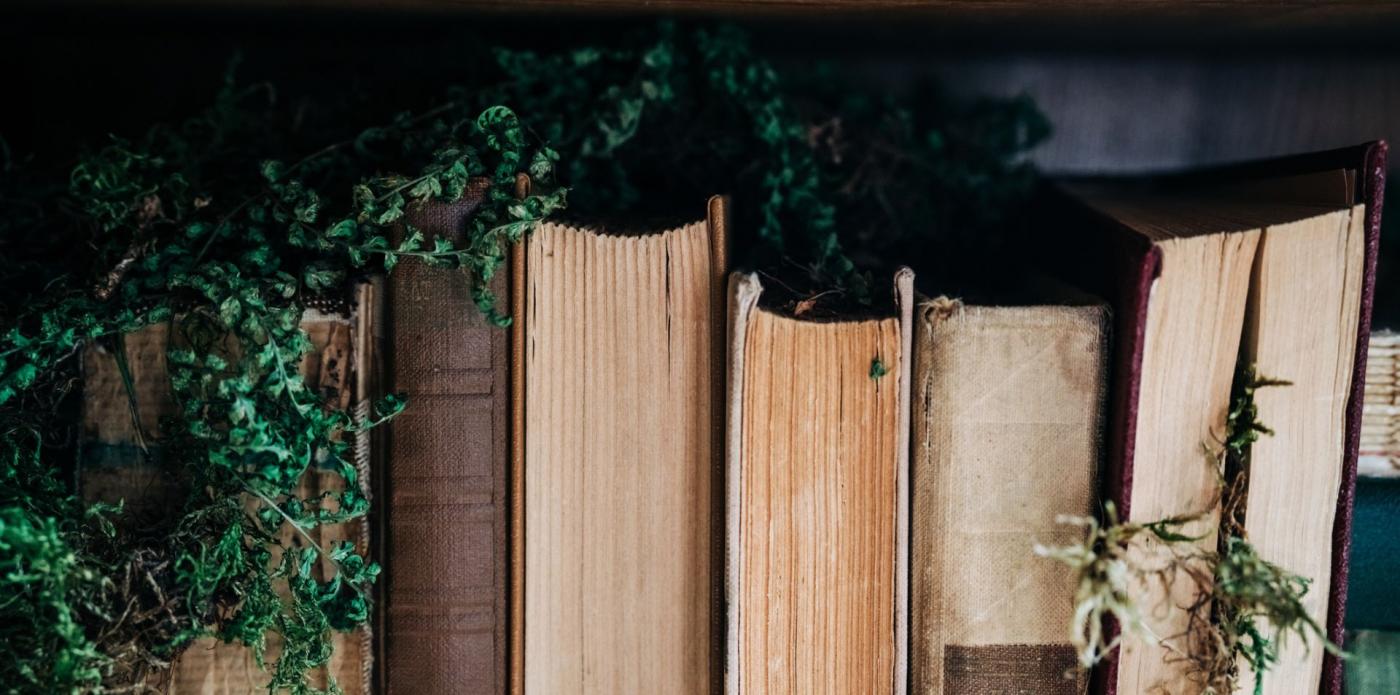 saghe fantasy da leggere