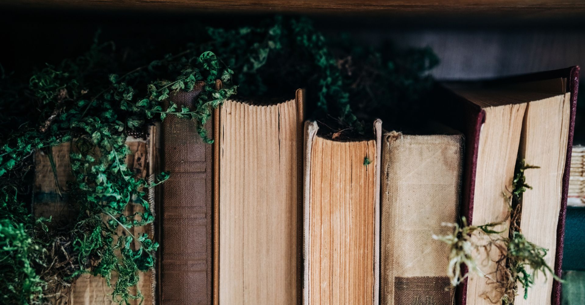 Libri fantasy: saghe da leggere assolutamente