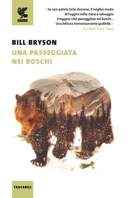 copertina del libro da regalare una passeggiata nei boschi di bill bryson