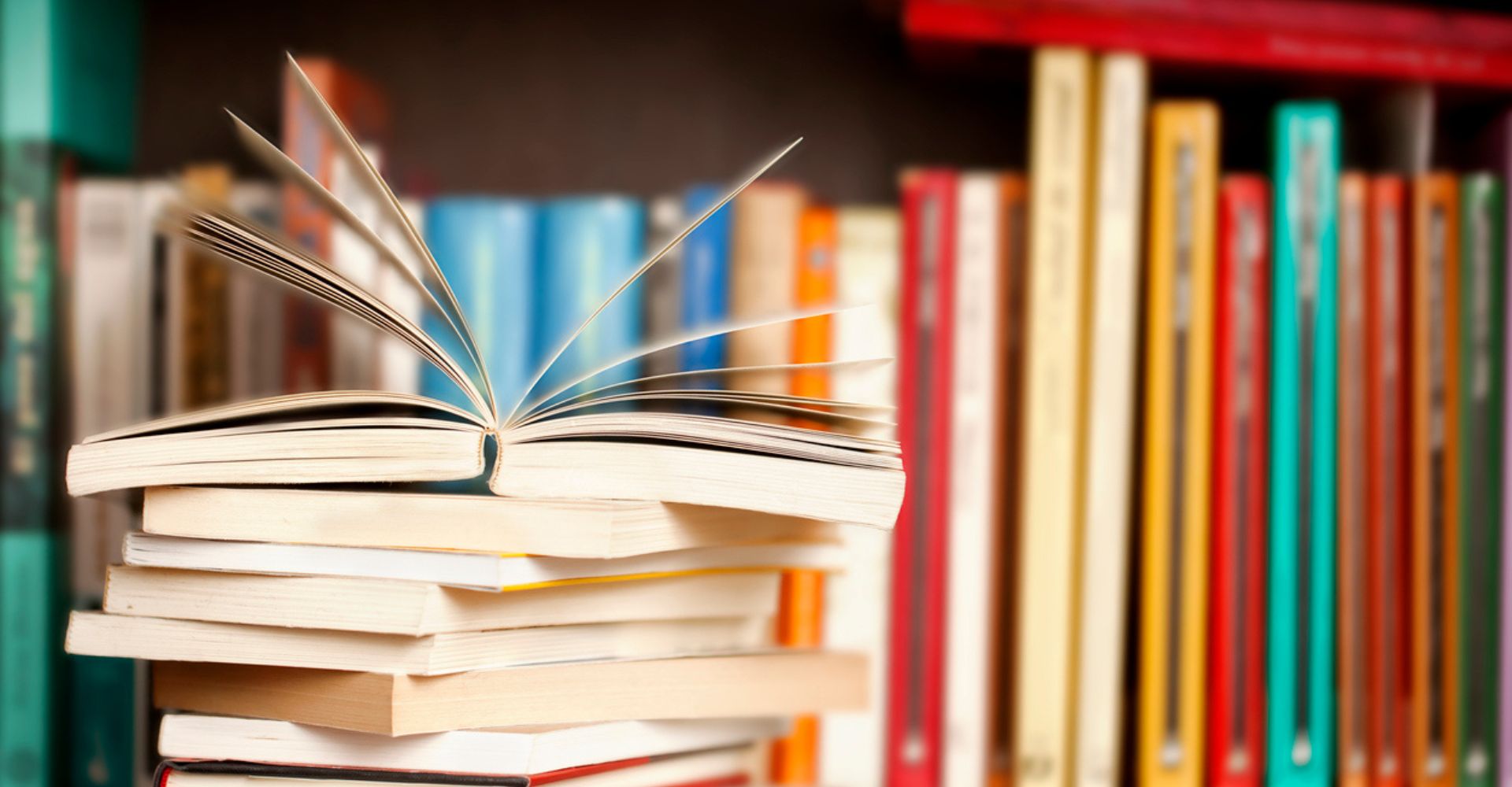 Ecco i migliori libri del 2025 per il New Yorker