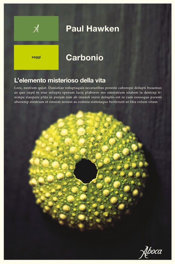 Copertina di Carbonio - L'elemento misterioso della vita