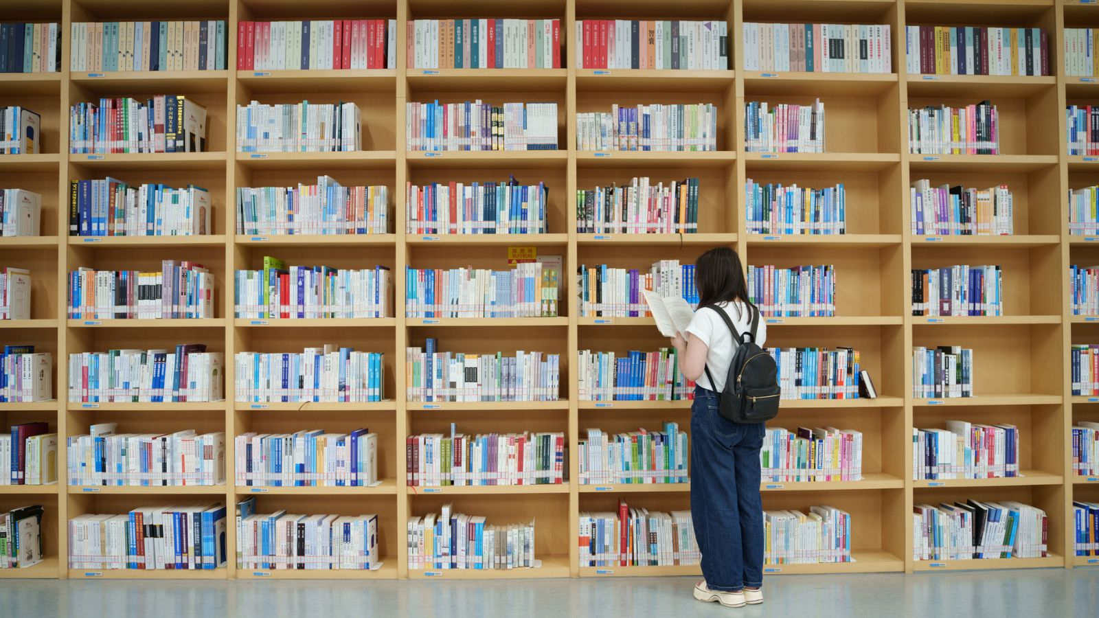 lettrice, leggere, libri, biblioteche, biblioteca, scaffale, libreria, romanzi