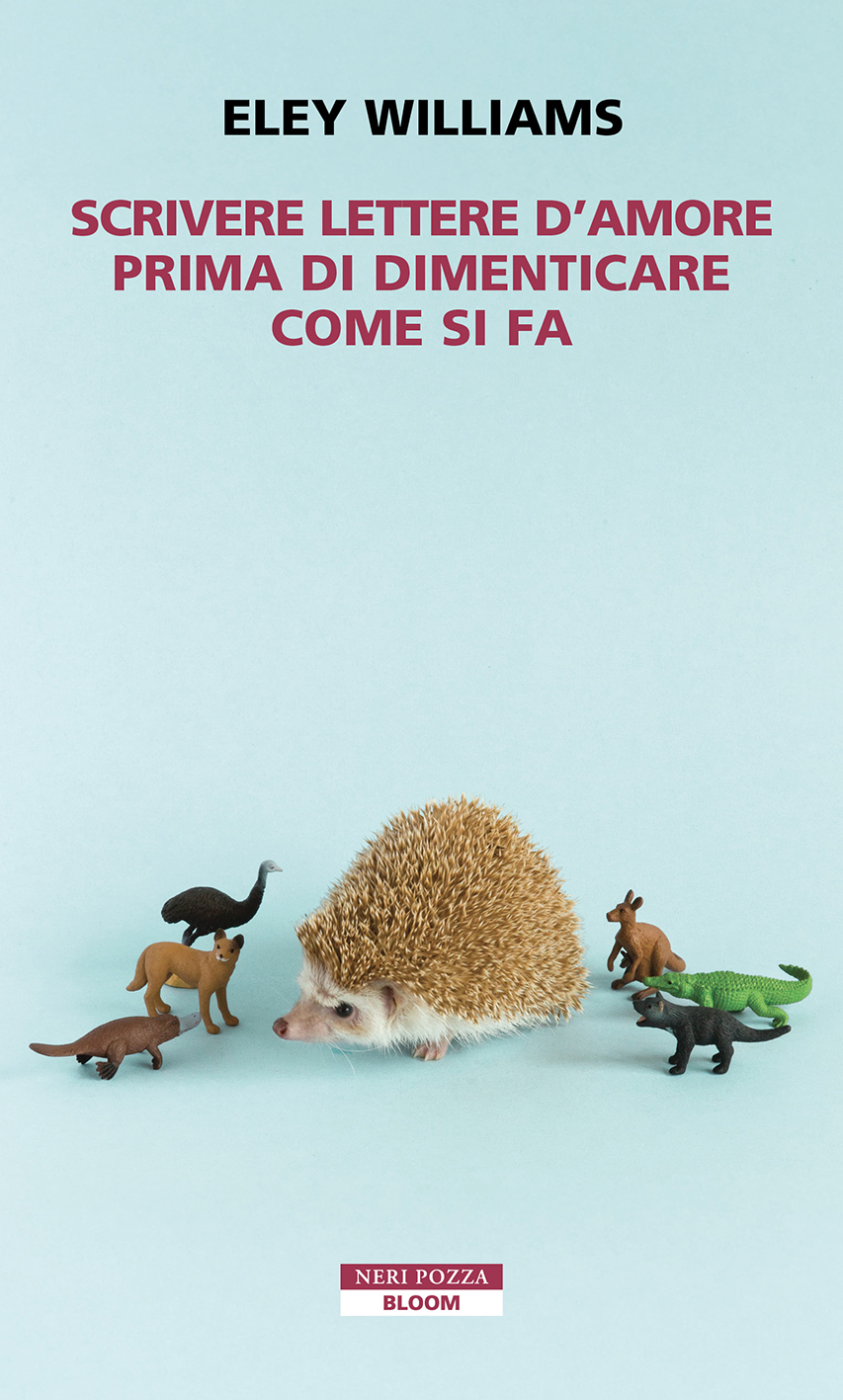 Copertina del libro Scrivere lettere d’amore prima di dimenticare come si fa di Eley Williams